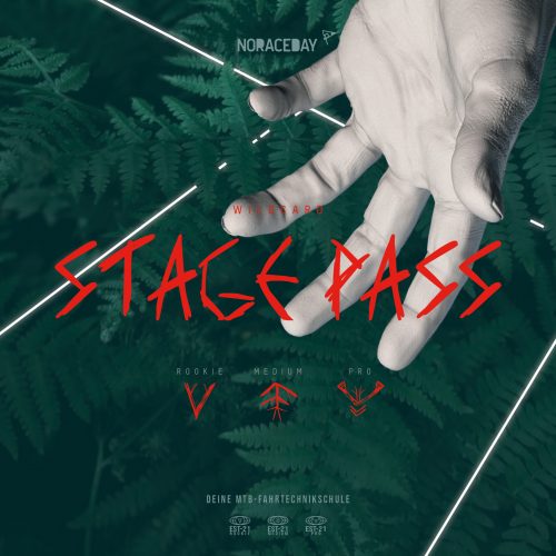 stage_pass4